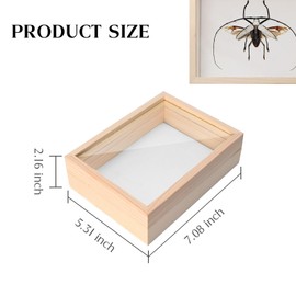 Saihisday Insect Display Case Bug Display Case Collection Box Taxidermy Insect Bug Collection Framed in a Wooden Box 7.08x 5.31x 2.16inch