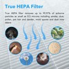 Hunter HP450UV Round Air Purifiers for Home, True HEPA Air