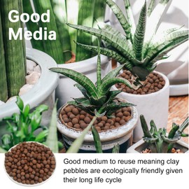 Lechloris 3LB Leca Explanded Clay Pebbles, 14-16mm Lightweight Expanded Clay Aggregate for Hydroponic Growing, Premium Grow Media for Orchids, Aquaponics Plants and Horticultural Drainage, Natural