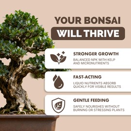 Bonsai Fertilizer – Liquid Plant Food for Healthy Growth, Vibrant Foliage & Stronger Root Development, 32 oz