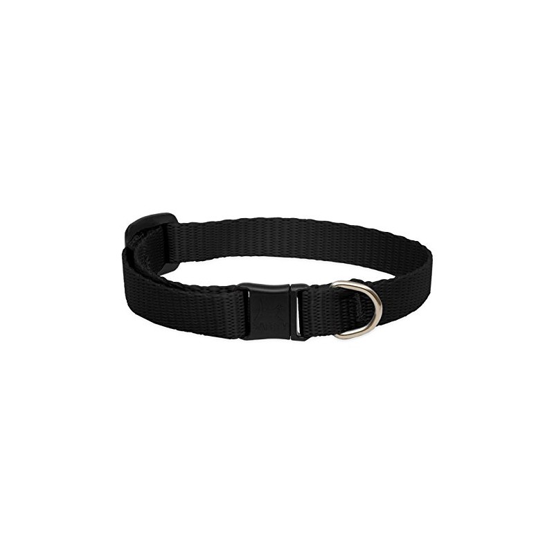 LupinePet Basics 1/2" Black Cat Safety Collar , 8-12"