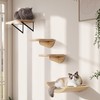 Wood Cat Wall Shelves with Sisal Cats Window Perch, Wall