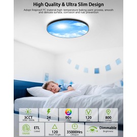 APOTO 12" Blue Sky Flush Mount Ceiling Light Fixture,24W Dimmable 3000K/4000K/6000K 3 CCT Adjustable Black Ceiling Lights,LED Round Flat Panel Light for Kitchen Bedroom Hallway,ETL Listed (2-Pack)