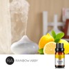 2-Pack Lemon Essential Oils - 100% Pure, Best Therapeutic Grade