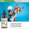 Cat Constipation Relief - May Help to Soften Stool, Ease