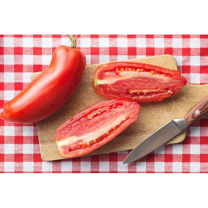 SAFLAX - Organic Tomato - San Marzano - 15 Seeds