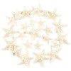 TaoQ C 24 PCS Starfish, Mixed Starfish 1" to 2"