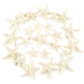 TaoQ C 24 PCS Starfish, Mixed Starfish 1" to 2" and 2" to 3" Knobby Starfish Natural Seashells Starfish Perfect for Wedding Decor Beach Theme Party, Home Decorations, DIY Crafts, Fish Tank