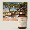 Sky Premium Life Chios Mastic Food Supplement (60 Capsules)