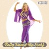 WERFORU Women Belly Dance Hip Scarf ladies Belly Dance Skirt