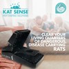 Kat Sense Rat Traps That Work Indoor & Outdoor for
