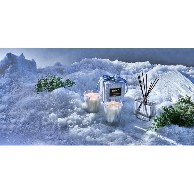 NEST New York Blue Cypress & Snow Reed Diffuser