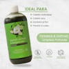 Shampoo De Alquitrán Y Bergamota Anti-Caspa Productos Mart Mexico 500