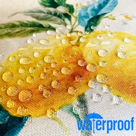 HUASHUZI Outdoor Weatherproof Cushion Cover Fruit Lemon Set of 4 45 x 45 cm Decorative Cushion Garden Furniture Balcony Cushion Cover Cushion Cover