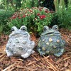 SUNGUARD Whimsical Toad Hollow Tall Stretch Medium Combo Pack Garden