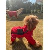 Dogs Waterproof Jacket, Lightweight Waterproof Jacket Reflective Safety Dog Raincoat
