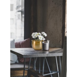 Serene Spaces Living - Jarrón de aluminio clásico con aspecto de latón dorado, adorno decorativo perfecto para plantas, bodas y eventos, maceta metálica para el hogar, pequeña, mide 6.7 pulgadas de
