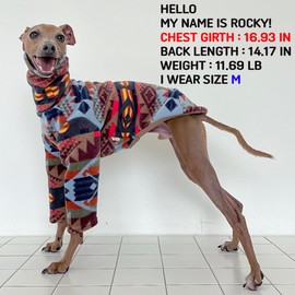 D DOGGY STAR Italian Greyhound Clothes Polar Fleece Sweater T Shirts Whippet for Dogs (2XL,Polar Geometry)