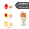 Westmark Egg Timer Hardy - Practical Egg Timer for Cooking