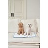 Dog glacier cooling pet dog cool cushion dog Duragon mat
