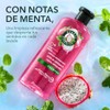 Herbal Essences Shampoo Limpieza Refrescante 400 ml