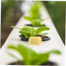 Totority 50pcs Soilless Cultivation Hydroponic Grow Cubes Rock Nursery Blocks for Plant Propagation for Vegetables Flowers Easy to Use High Absorbency