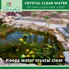 Greena® All Natural Sludge Remover - Actively consumes sludge which