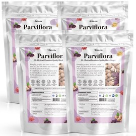 Earthville 4 Earthville Papiflora Bulk Powder Black Ginger Papiflora 10x Concentrated Powder 200g / 4개 어스빌 파비플로라 벌크 파우더 흑생강 파피플로라 10배농축 가루 분말 200g