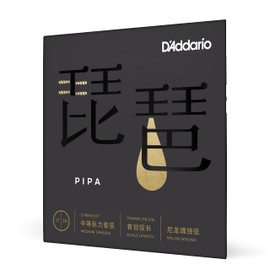 D'Addario PIPA01 Dadario Biwa String (Pipa String) Medium Tension