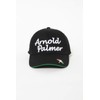 Arnold Palmer APCP-09H Men's Golf Cap, Logo Twill Cap, white