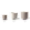 Copenhagen Design Pantone Latte Cup - Double Wall Thermo -