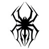 Spider tattoo – Temporalis® | Temporary tattoo, vegan and waterproof