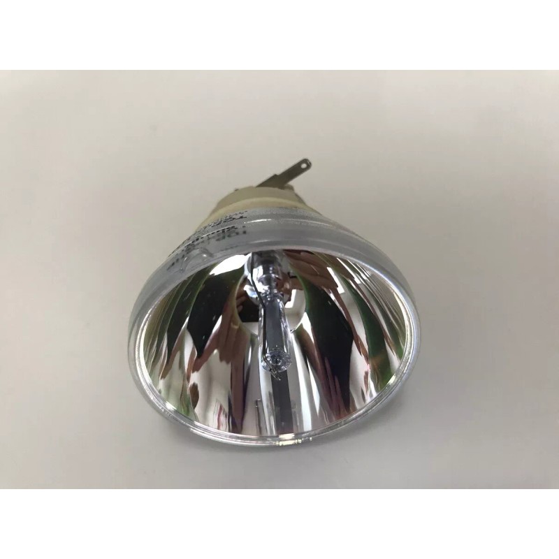 ViewSonic OEM PROJECTOR LAMP BULB FOR VIEWSONIC RLC-108 RLC-116 PX700HD