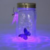 Fangfang LED Lamp Romantic Glass Animated Butterfly Jar Gift Decoration