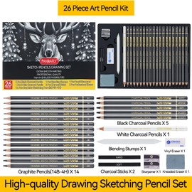 PANDAFLY 26-Piece Professional Sketch Pencil Set - Includes 4H to 14B Graphite Pencils, Charcoal Pencils, Charcoal Sticks, Vinyl Eraser, Kneaded Eraser, Sharpener, Blending Stump