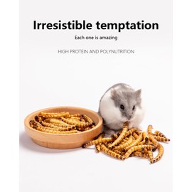 Niteangel Hamster Snack & Treats Toy - Small Animal Natural Treat for Dwarf Syrian Robo Hamsters Gerbils Mice Lemmings or Other Small-Sized Pets