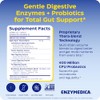 Enzymedica - Digest Basic + Probiotics, Essential Digestive Enzymes with