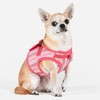 Puppia Theros Dog Vest Harness B (Step-in) Fashionable Striped Pattern