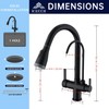 ICREEH Matte Black 2 in 1 Kitchen Sink Faucet -
