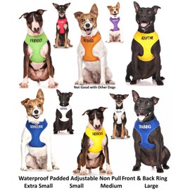 Adopt ME (I Need A New Home) Yellow Color Coded Non-Pull Front and Back D Ring Padded and Waterproof Vest Dog Harness (Medium Harness 19-28inch Chest/Girth)