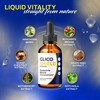 (3 Pack) GlicoShield – Premium Liquid Drops Formula to Help