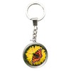 Deluxe Base 48798 Magnidome Keychains, Butterfly Keyrings, Colourful