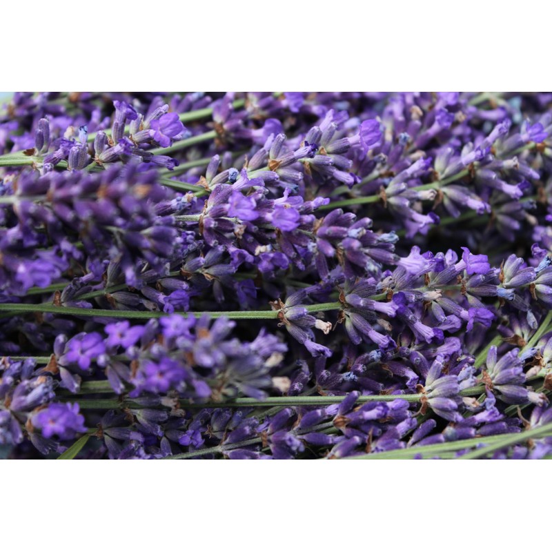 Raspberry Lavender Preserve - 11oz. (2 Jars)