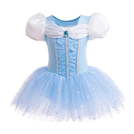 Lito Angels Princess Cinderella Ballerina Costume Ballet Leotard with Tutu Dress for Kids Girls, Fancy Dance Wear Outfit Age 5-6 Years (Tag Number 120)