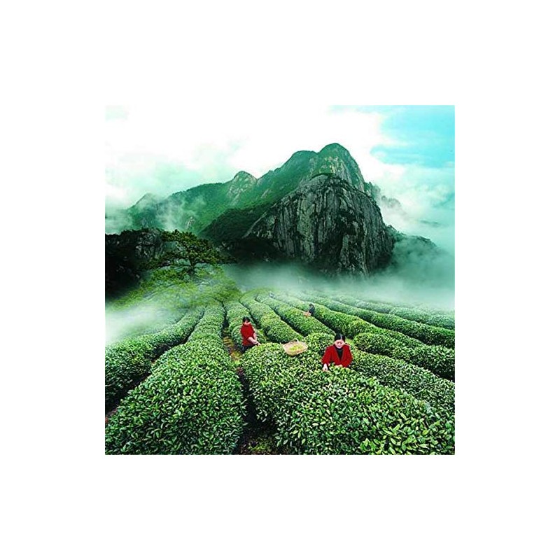 Chinese Organic Decaf Black Tea ripe Tea 250g (0.55LB) Yunnan