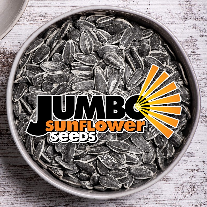 JUMBO SUNFLOWER SEEDS, Ranch, 16-Ounce (Pack of 6)