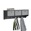 SoBuy Wall Shelf with Hooks, Coat Rack Wall Mount with