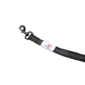 Tapylove Dog Lead - Length Approx. 2 m - Robust with Carabiner - Shock Absorber - Comfortable Padded Handle - Reflective Lead - Bungee Dog Lead (Green)