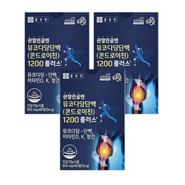 Chong Kun Dang Chondroitin 1200mg for joints, mucopolysaccharide protein, bovine cartilage, cow cartilage, 60 tablets, 3 boxes / 관절엔 콘드로이친1200mg 뮤코다당단백 소연골 소유래 60정 3박스