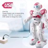 Unbranded Smart RC Robot with Programable Dancing Walking Remote Control